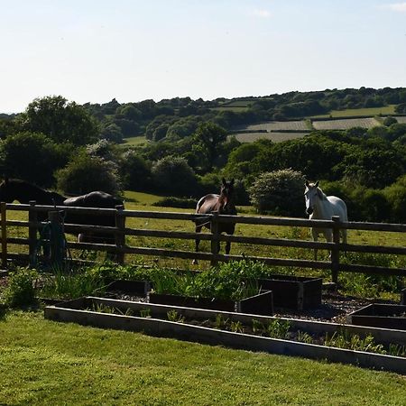 Moorland Breeze Villa Bodmin Exterior photo